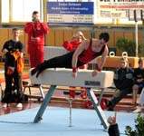 Falk am Pauschenpferd